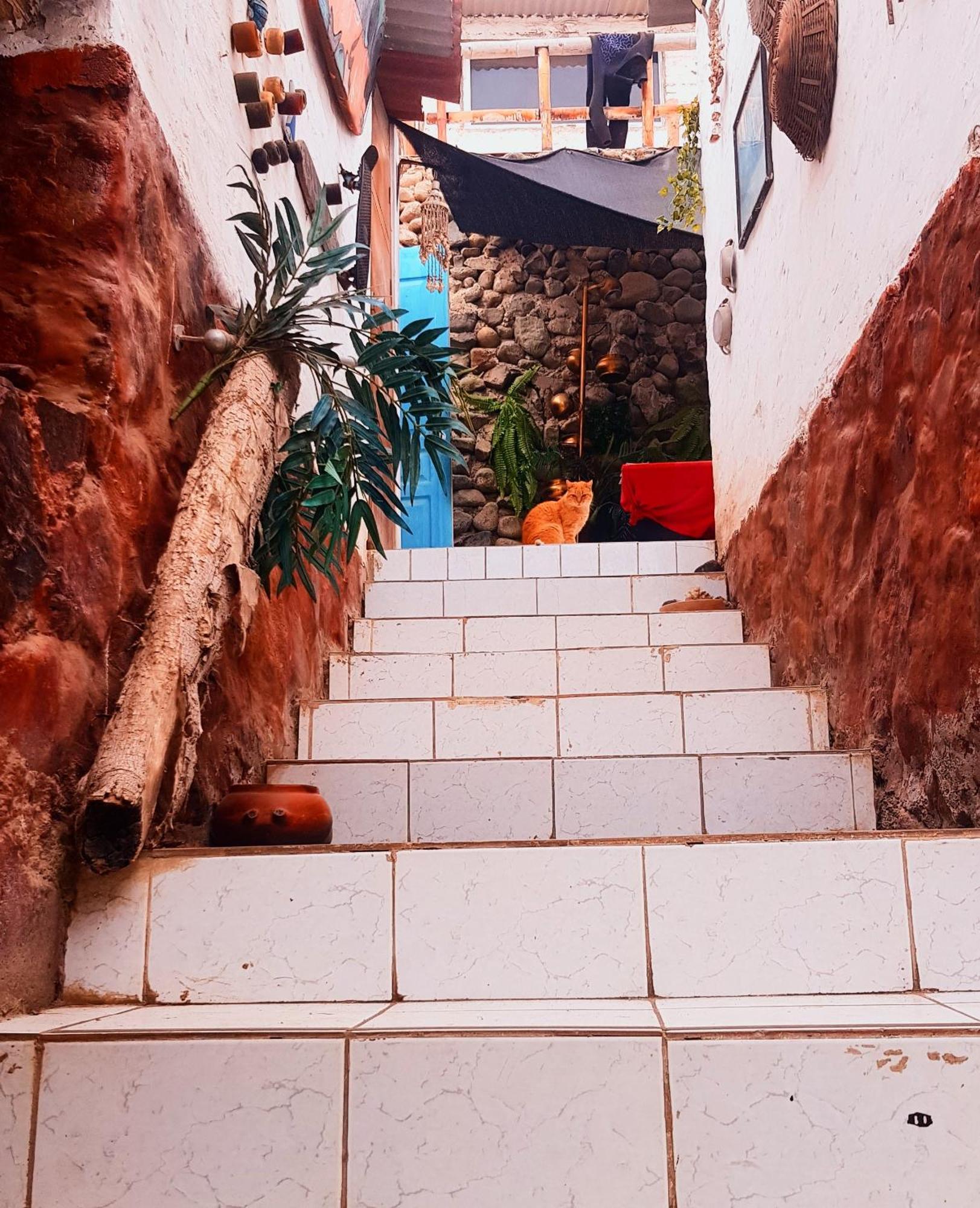 Apartament Huanchaco Surf Camp Zewnętrze zdjęcie